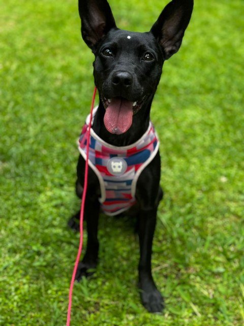 Lupita